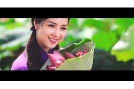 HÚT HẦM CẦU PHƯỜNG TÂN SƠN NHÌ QUẬN TÂN PHÚ   0919.600.500