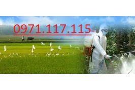 Thông cầu cống nghẹt huyện Củ Chi 0919.600.500
