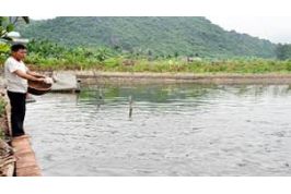 HÚT BÙN HỒ CÁ 0919.600.500