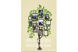 rút hầm cầu cụm công nghiệp phú mỹ quận 7 0967.488.188