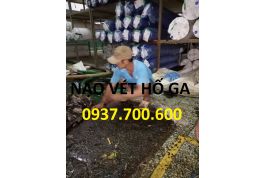 ĐƠN VỊ NẠO VÉT HỐ GA GIÁ RẺ UY TÍN 0918.455.699